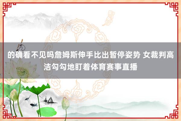 的确看不见吗詹姆斯伸手比出暂停姿势 女裁判高洁勾勾地盯着体育