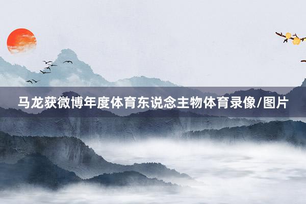 马龙获微博年度体育东说念主物体育录像/图片