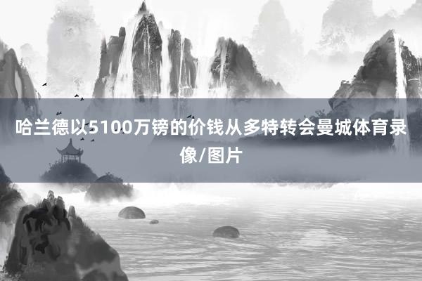 哈兰德以5100万镑的价钱从多特转会曼城体育录像/图片
