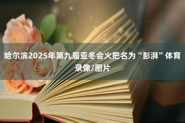 哈尔滨2025年第九届亚冬会火把名为“彭湃”体育录像/图片