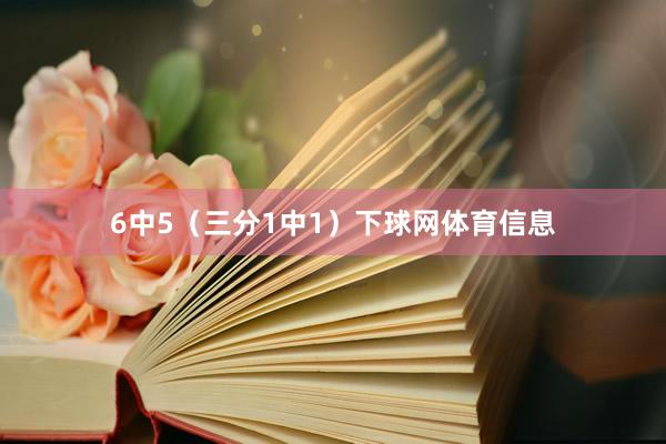 6中5（三分1中1）下球网体育信息