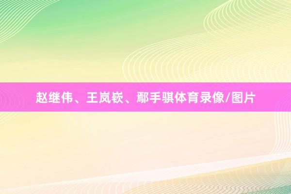 赵继伟、王岚嵚、鄢手骐体育录像/图片
