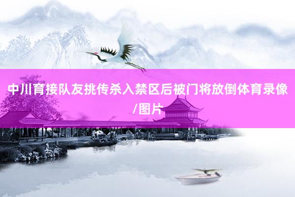 中川育接队友挑传杀入禁区后被门将放倒体育录像/图片