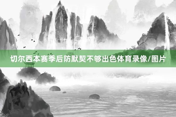 切尔西本赛季后防默契不够出色体育录像/图片