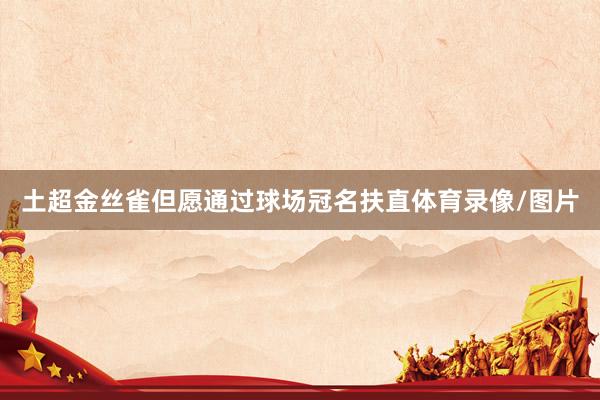 土超金丝雀但愿通过球场冠名扶直体育录像/图片