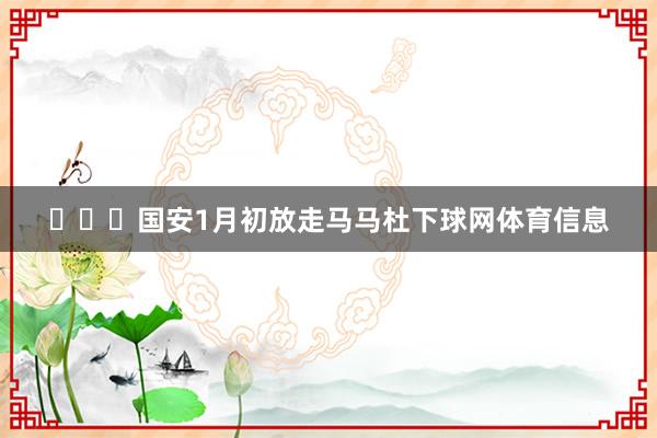 ​​​国安1月初放走马马杜下球网体育信息