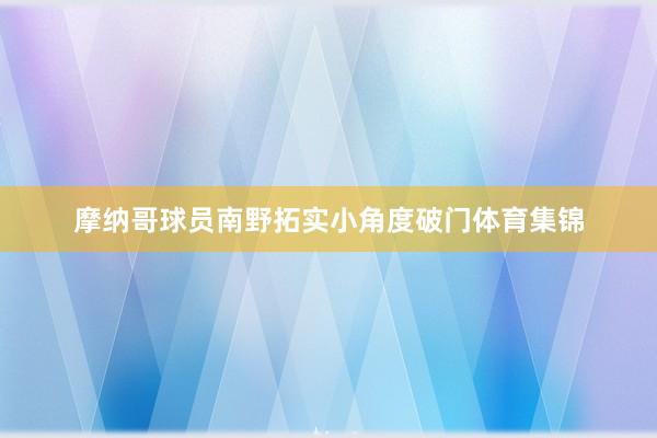 摩纳哥球员南野拓实小角度破门体育集锦