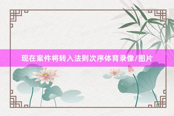 现在案件将转入法则次序体育录像/图片